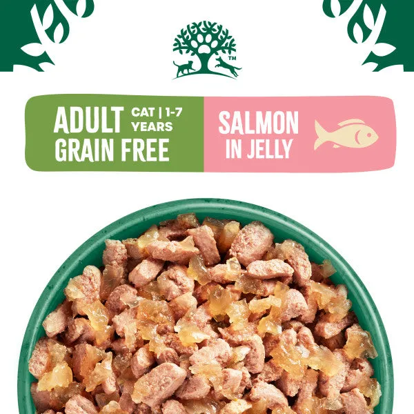 Adult Salmon in Jelly Grain Free Wet Cat Food Pouches