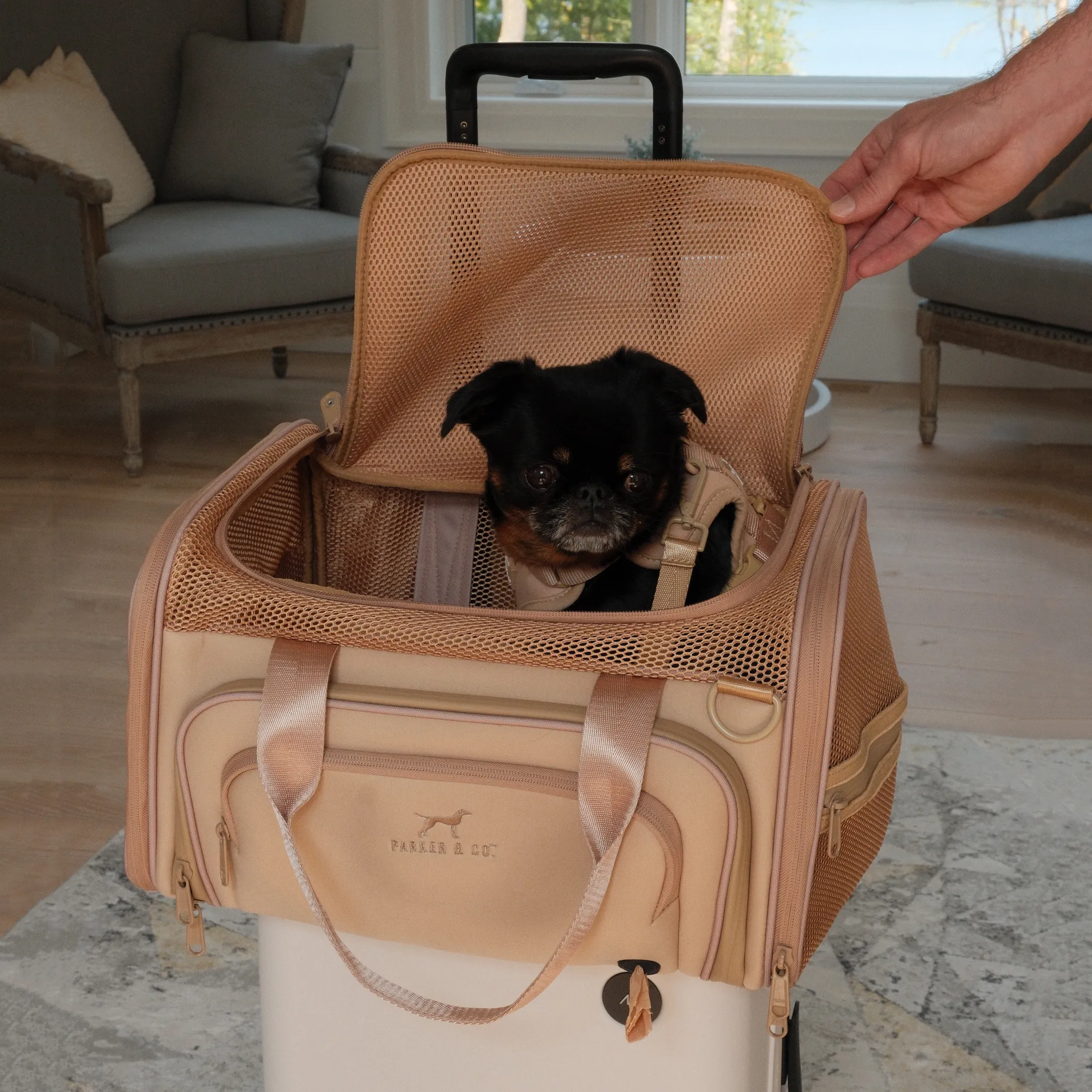 Airline Approved Travel Pet Carrier