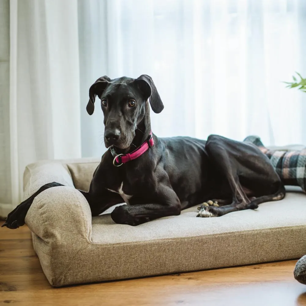 Biggie Pet Bed