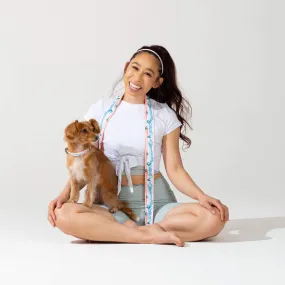 Blueberry Pet × Jackelyn Ho Variety Magic Box - 1 Dog Collar, 1 Yoga Stretch Strap & 3 Headbands