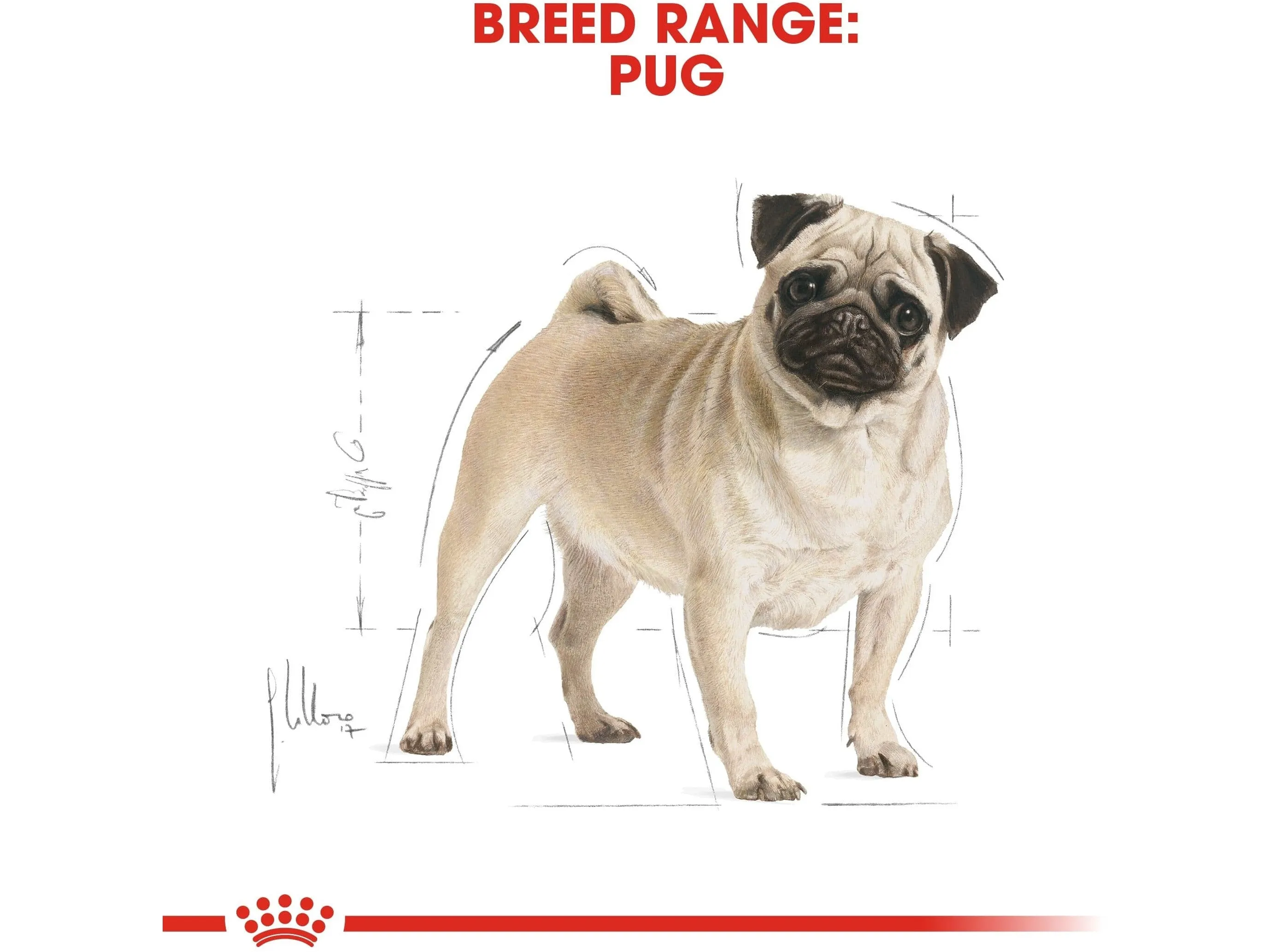 Breed Health Nutrition Pug Adult 1.5 KG