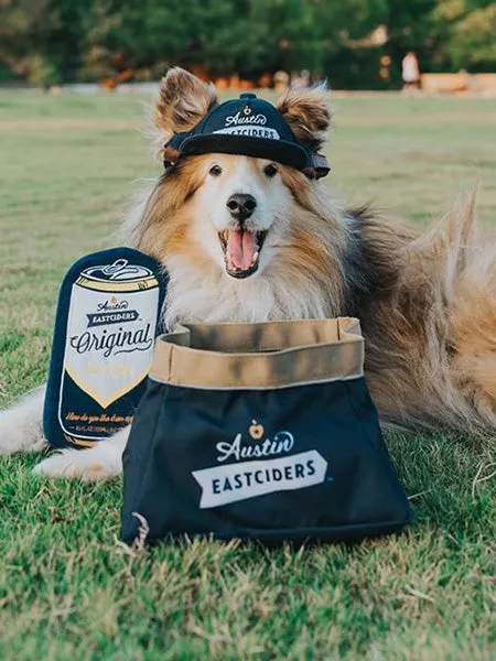 Collapsible Dog Bowls for On The Go H20