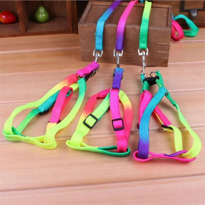 Colorburst Lupine Pet Leash