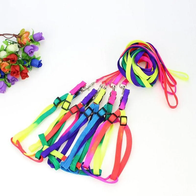 Colorburst Lupine Pet Leash