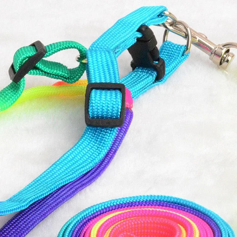 Colorburst Lupine Pet Leash