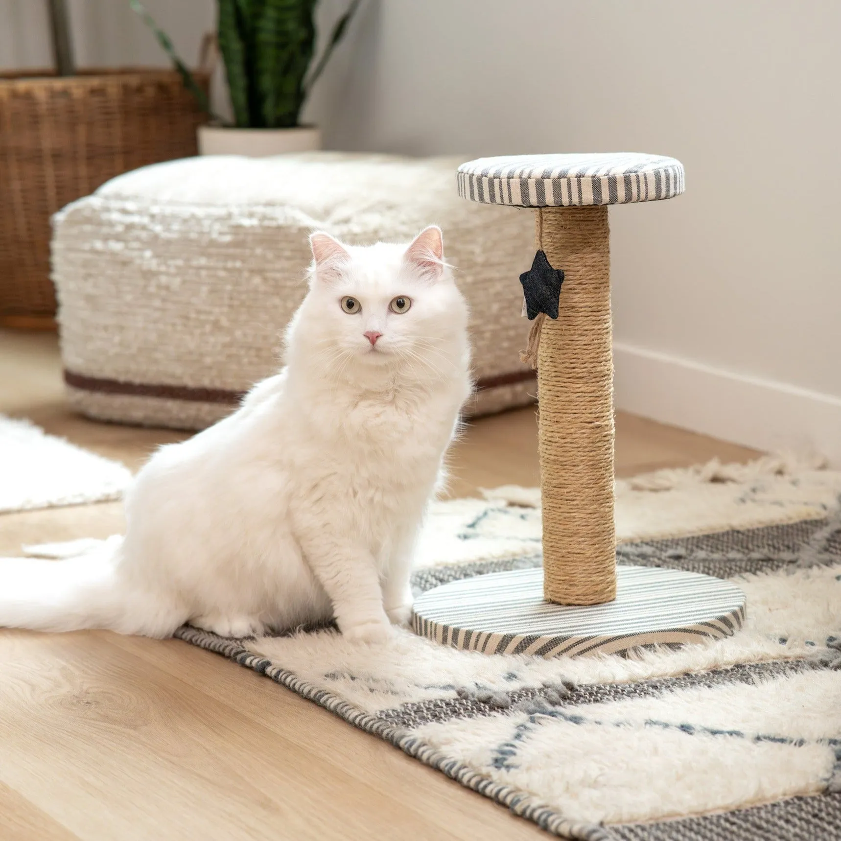 Denim Stripe Sisal Cat Scratching Post