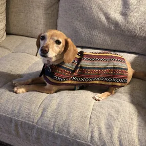 Dog Poncho - Sonora