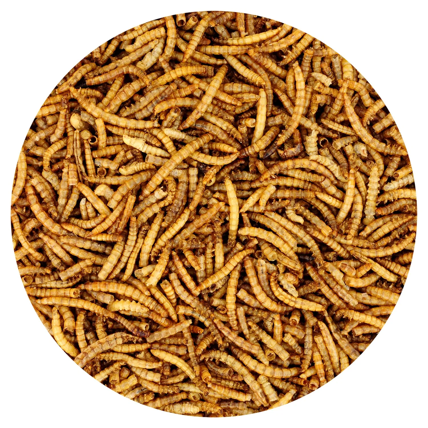 Dried Mealworms 1 lb.