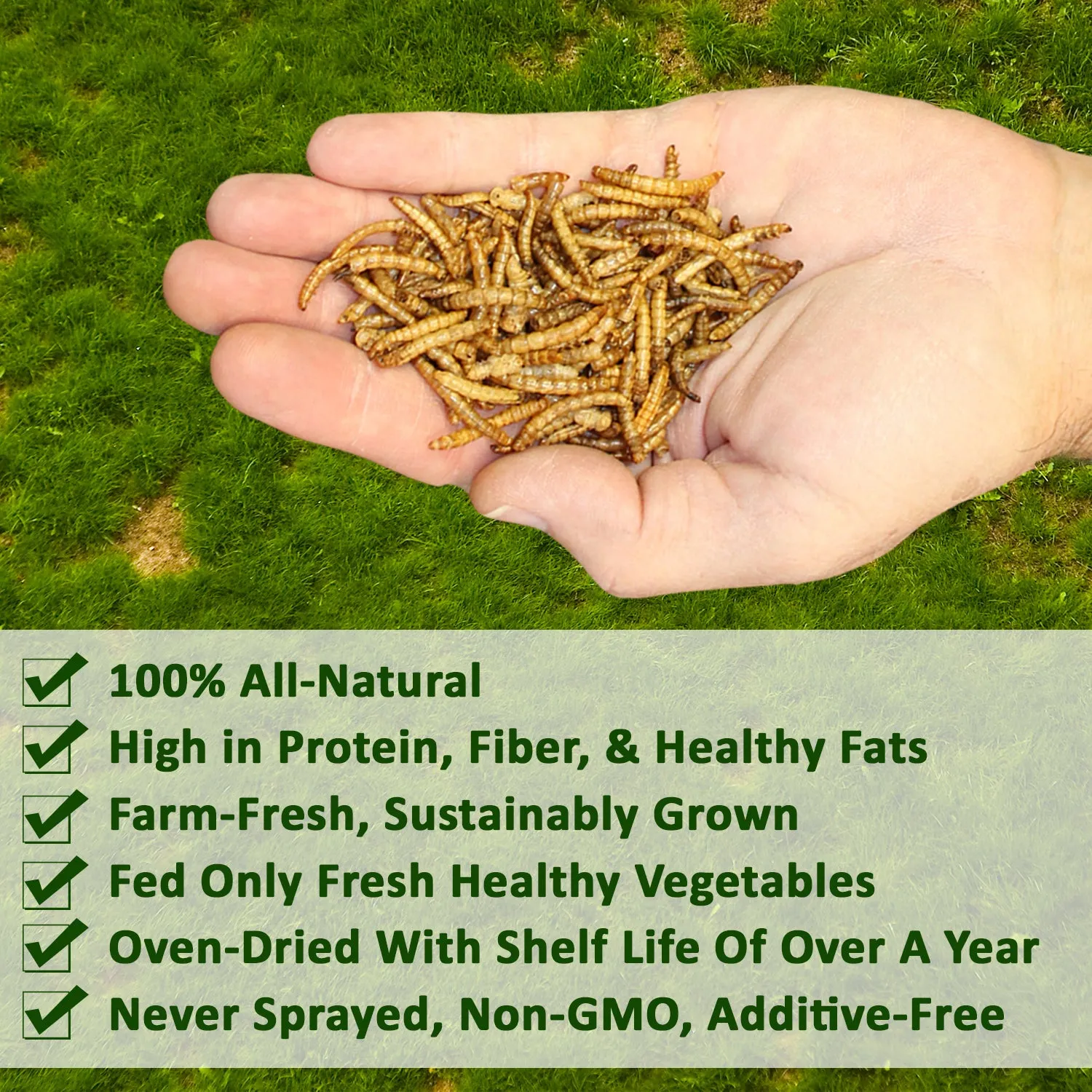 Dried Mealworms 1 lb.