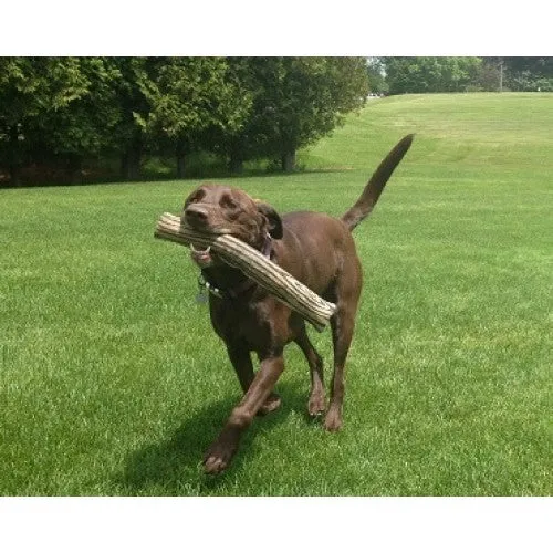 ECO-FETCHIN' STICK