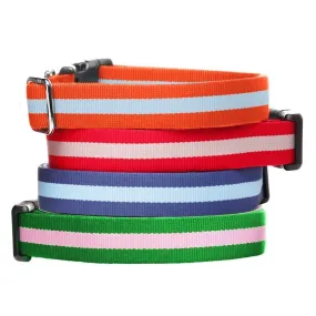 Eton Dog Collar