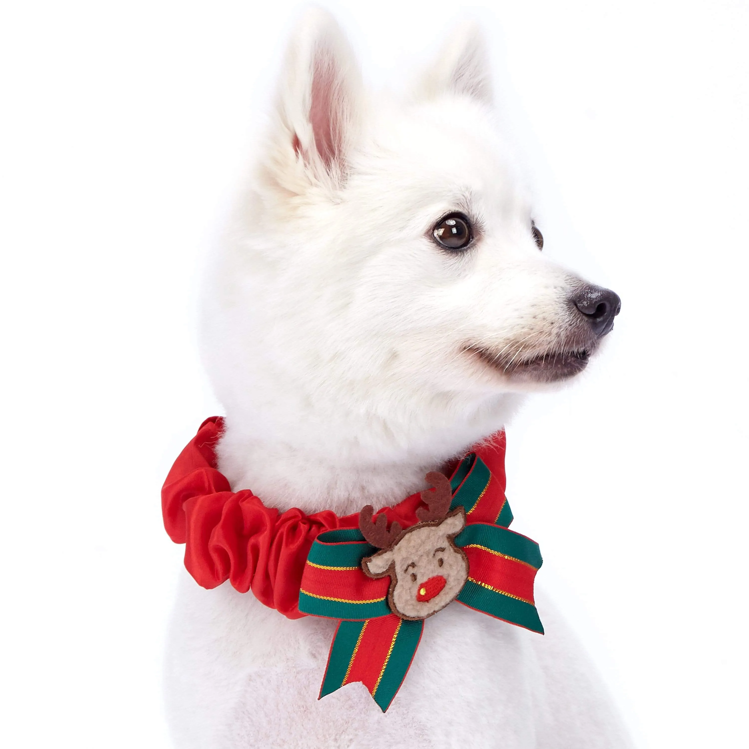 Festival Fever Christmas Dog Collar Cover