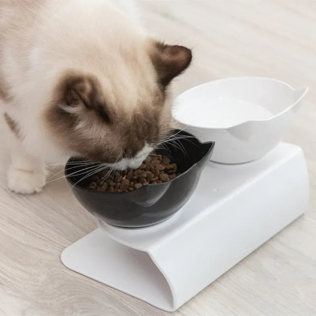 Food & Water Bowl for Cats