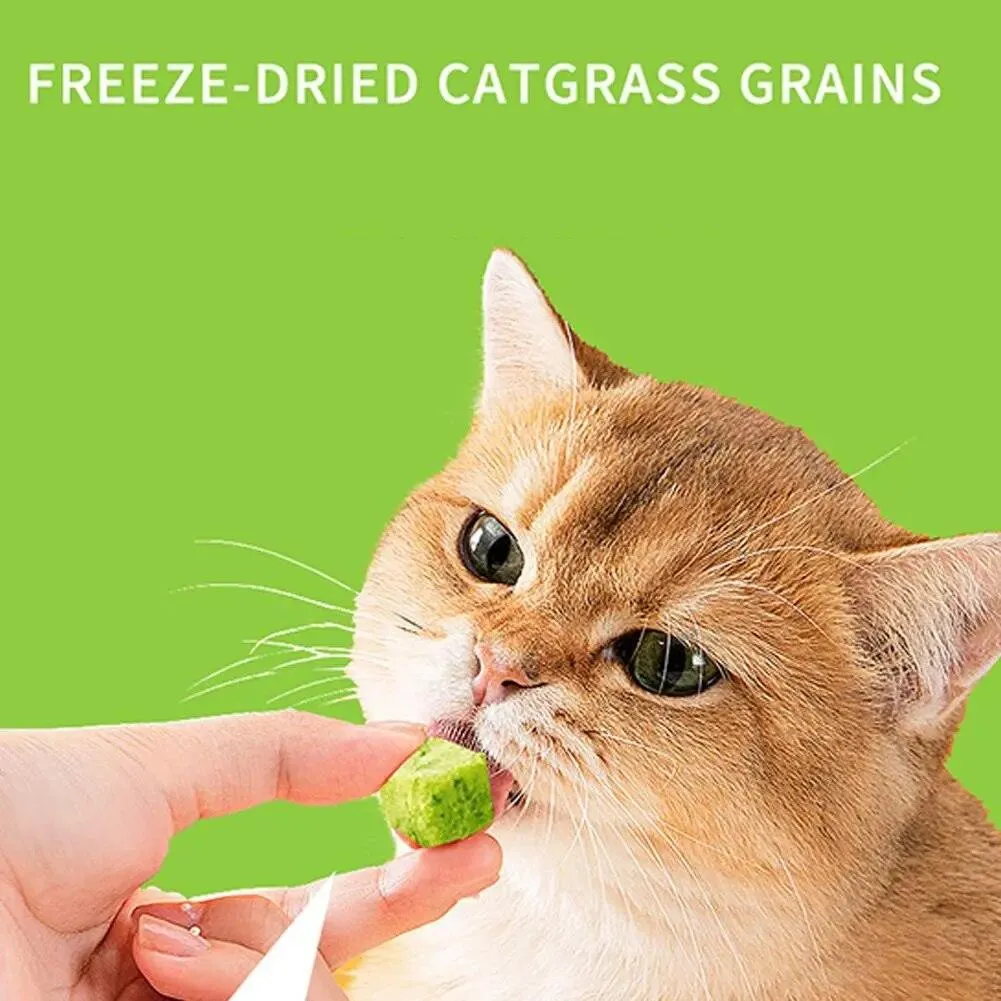 Freeze Dried Catnip Chicken Breast Treats