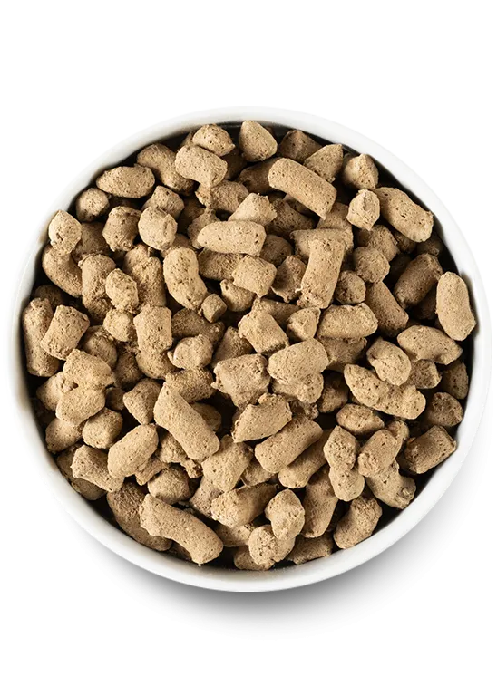 Freeze Dried Raw Variety Pack