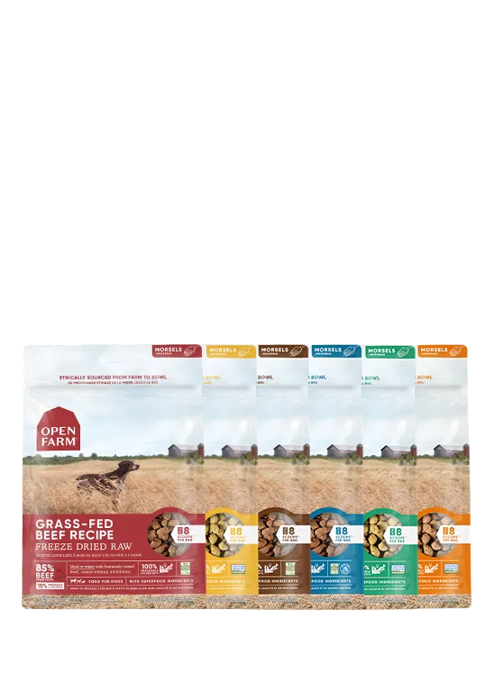 Freeze Dried Raw Variety Pack