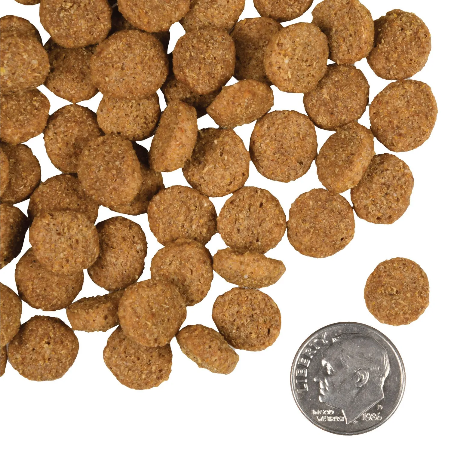 Fromm Gold Large Breed 30 Dog Dry Food