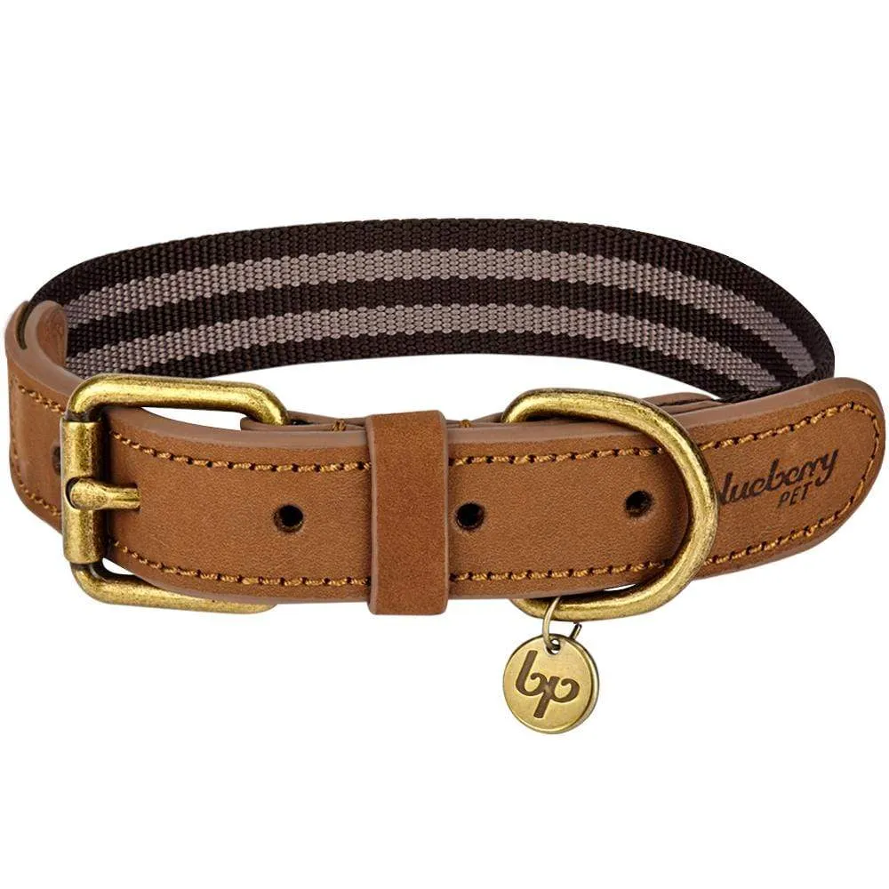 Full Grain Leather & Polyester Dog Collar