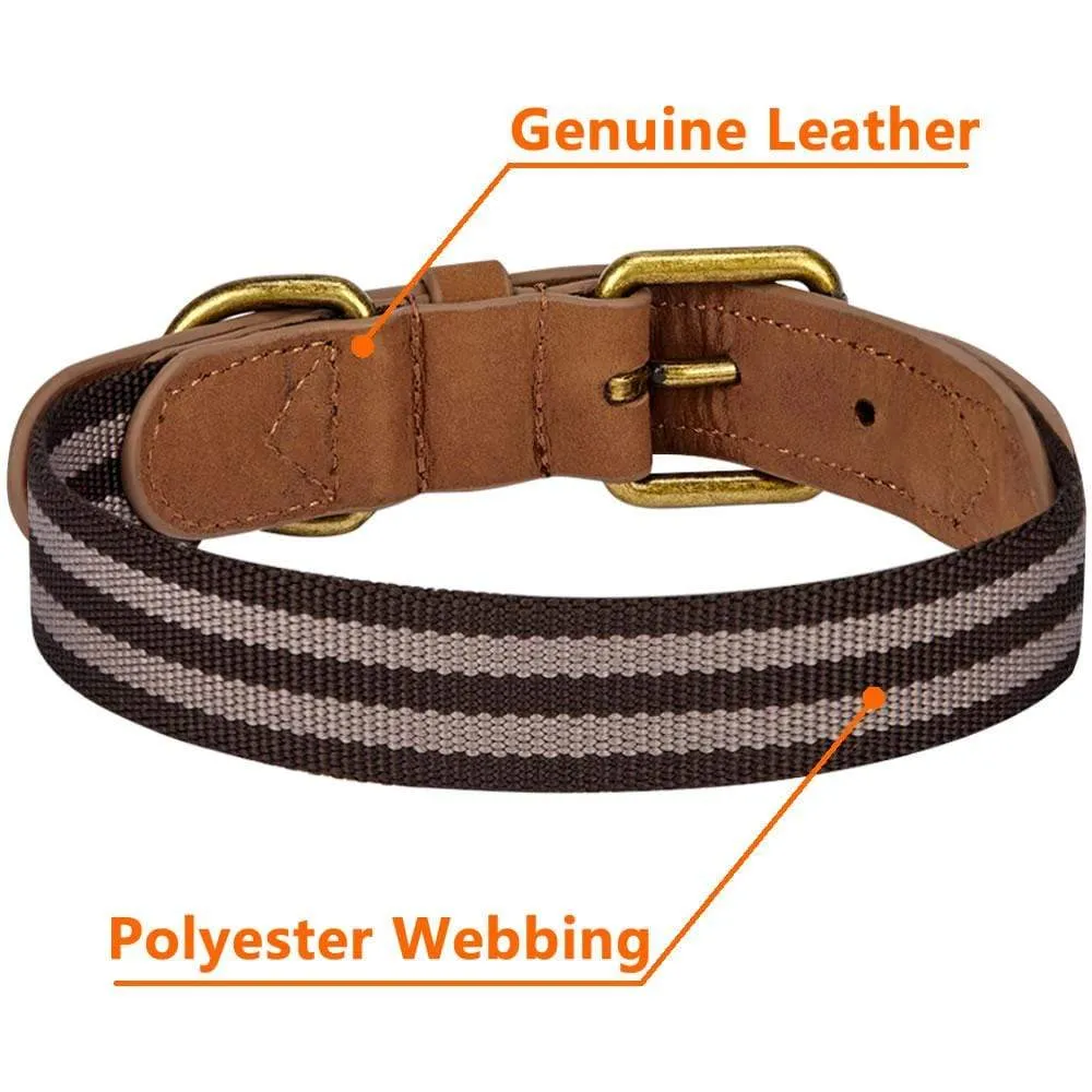 Full Grain Leather & Polyester Dog Collar