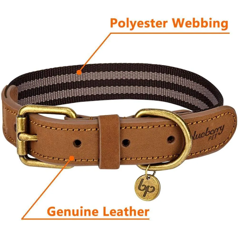 Full Grain Leather & Polyester Dog Collar