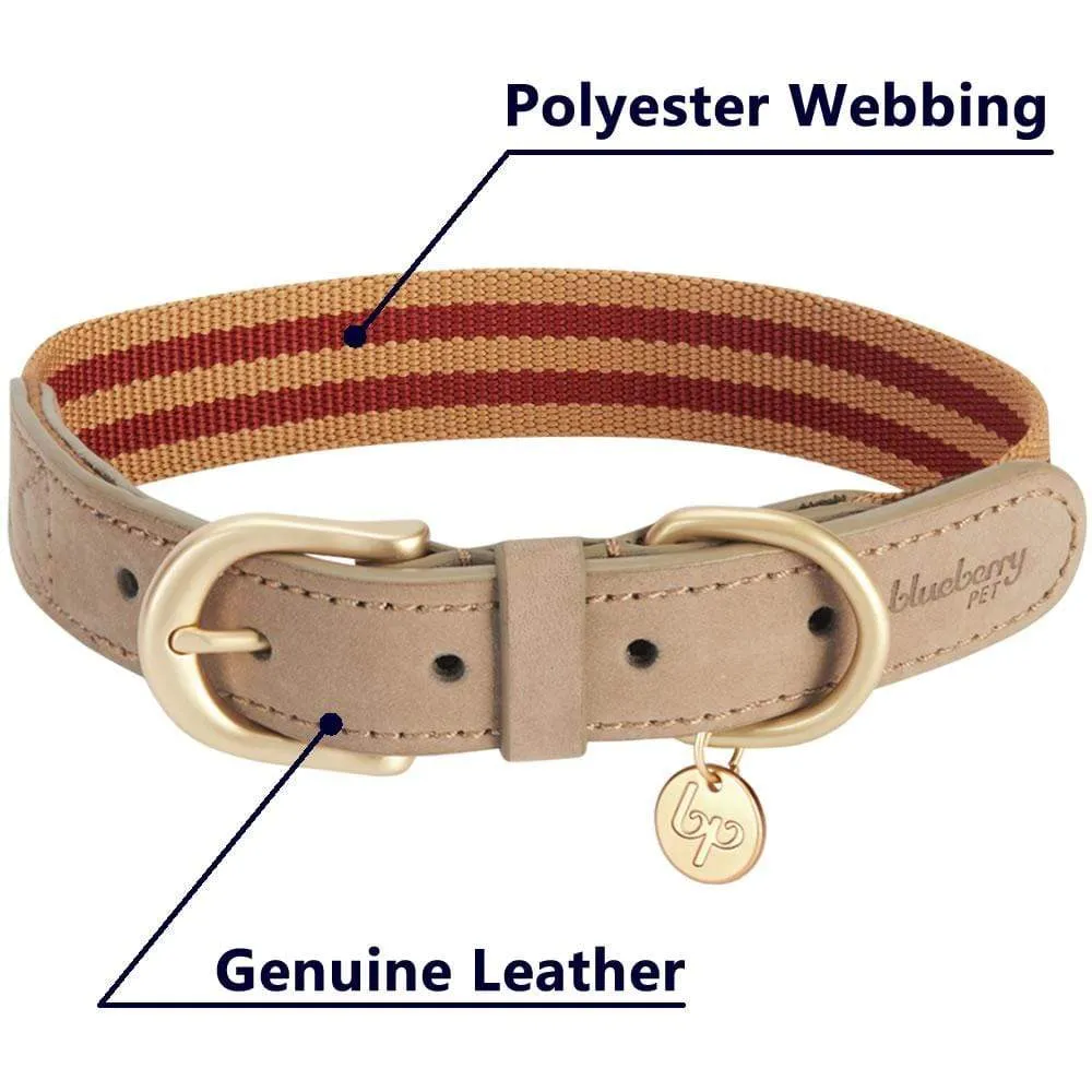 Full Grain Leather & Polyester Dog Collar