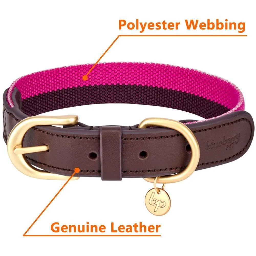 Full Grain Leather & Polyester Dog Collar