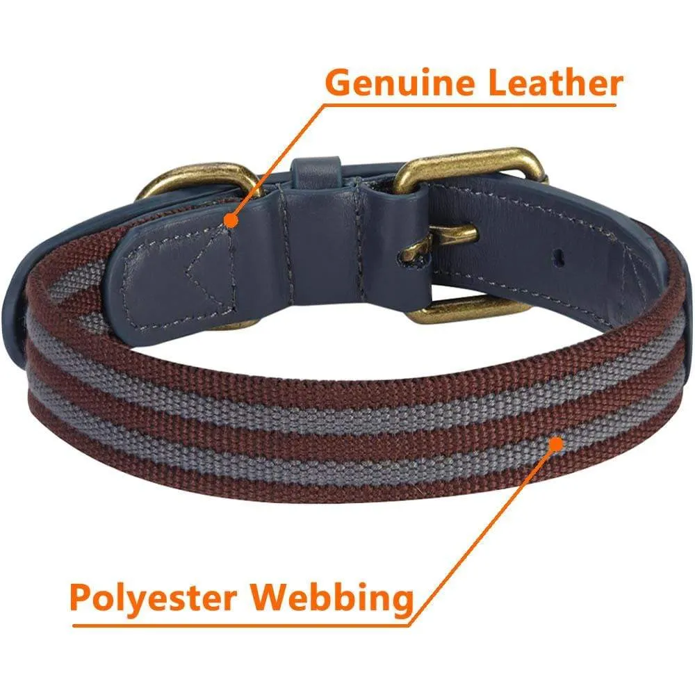 Full Grain Leather & Polyester Dog Collar