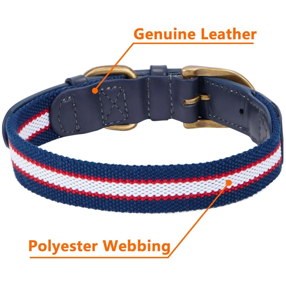 Full Grain Leather & Polyester Dog Collar