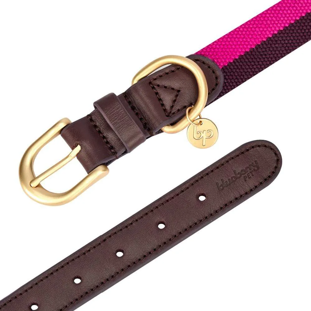 Full Grain Leather & Polyester Dog Collar