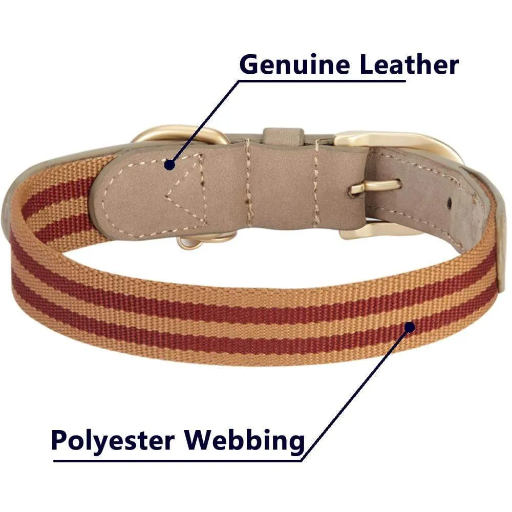 Full Grain Leather & Polyester Dog Collar