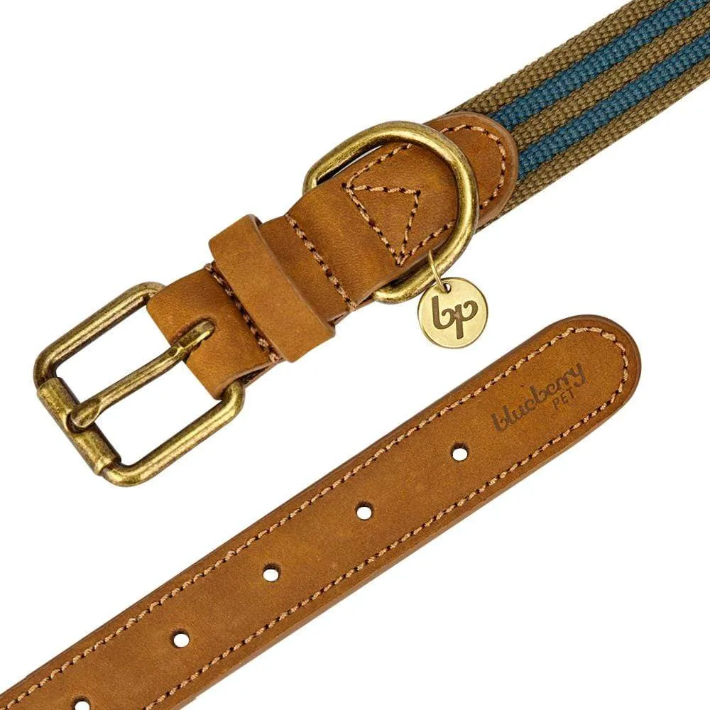 Full Grain Leather & Polyester Dog Collar