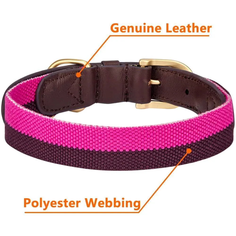 Full Grain Leather & Polyester Dog Collar