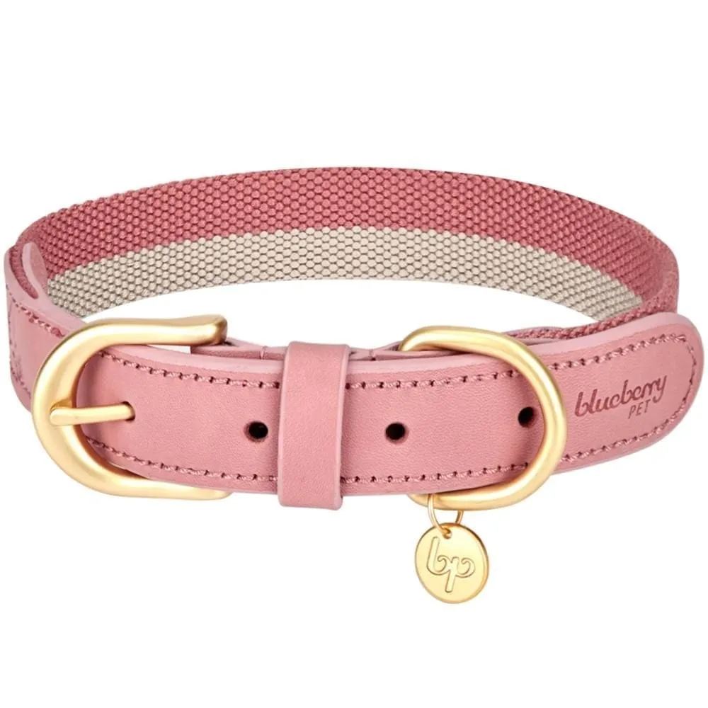 Full Grain Leather & Polyester Dog Collar