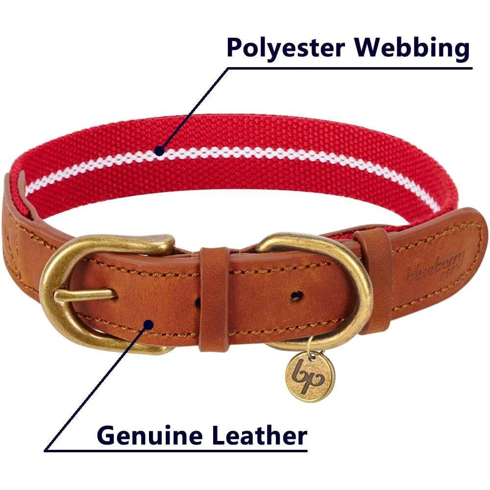 Full Grain Leather & Polyester Dog Collar