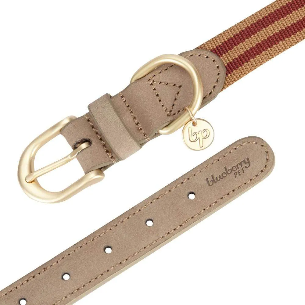 Full Grain Leather & Polyester Dog Collar