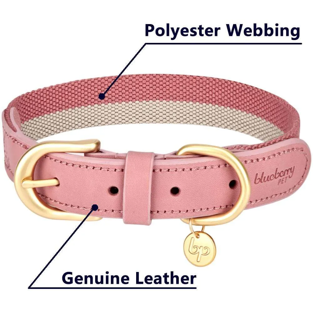 Full Grain Leather & Polyester Dog Collar