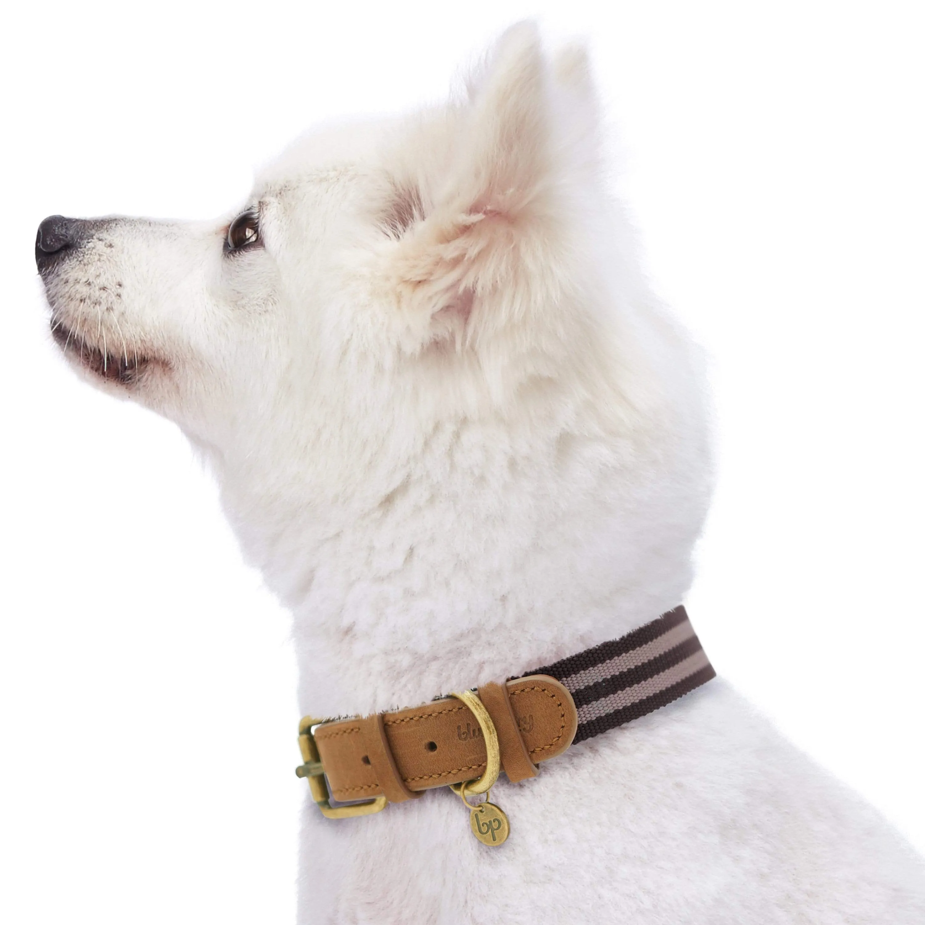 Full Grain Leather & Polyester Dog Collar