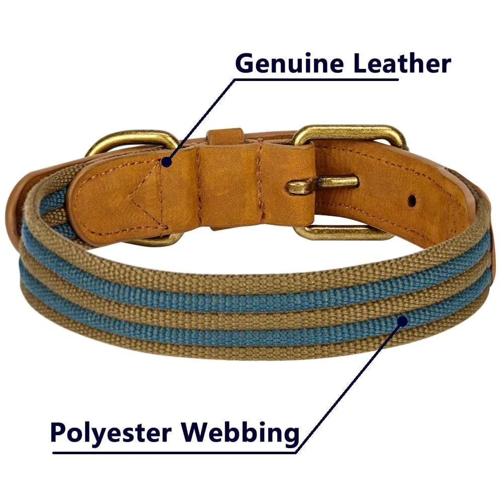 Full Grain Leather & Polyester Dog Collar