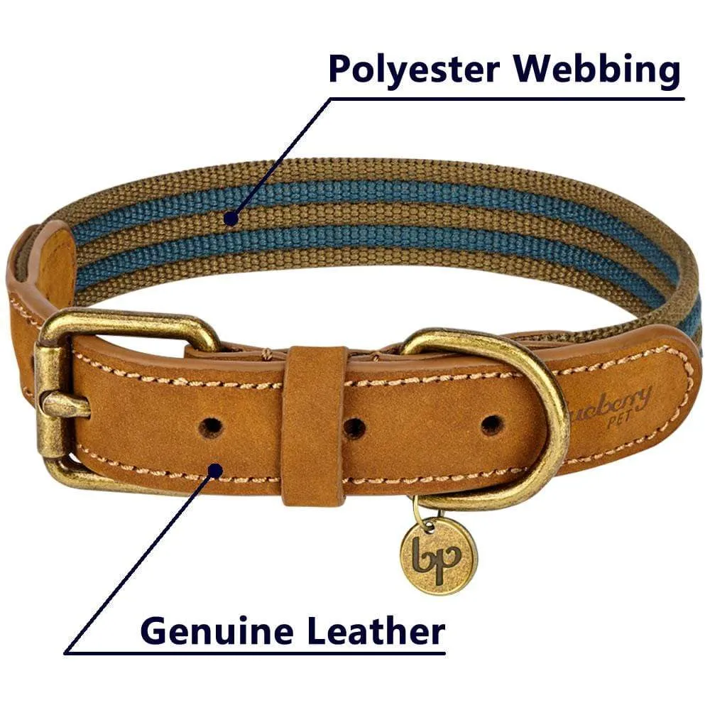 Full Grain Leather & Polyester Dog Collar