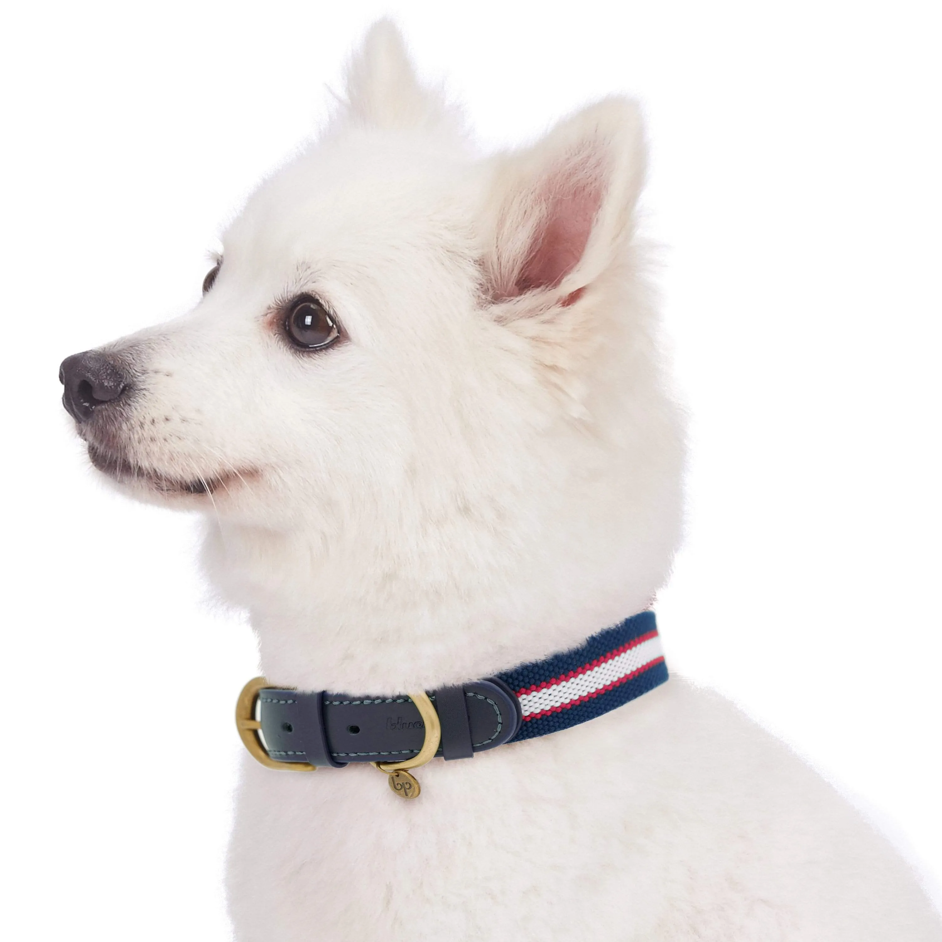 Full Grain Leather & Polyester Dog Collar