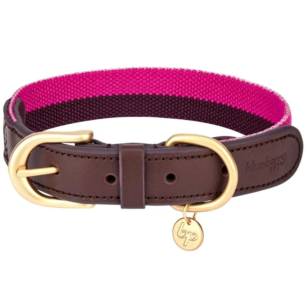 Full Grain Leather & Polyester Dog Collar