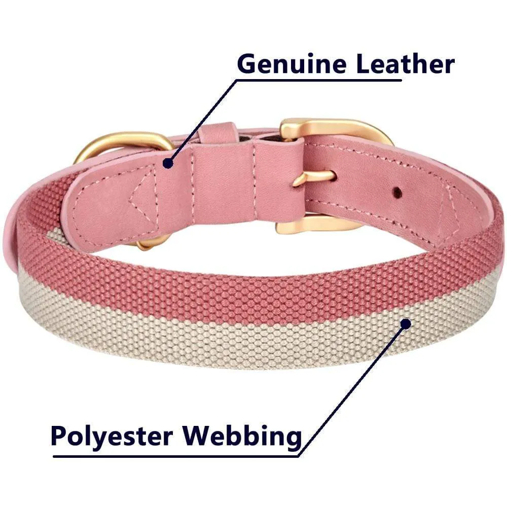 Full Grain Leather & Polyester Dog Collar