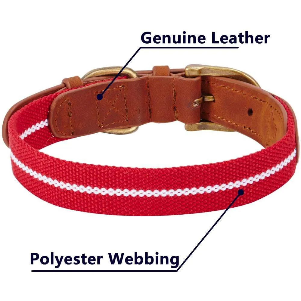 Full Grain Leather & Polyester Dog Collar