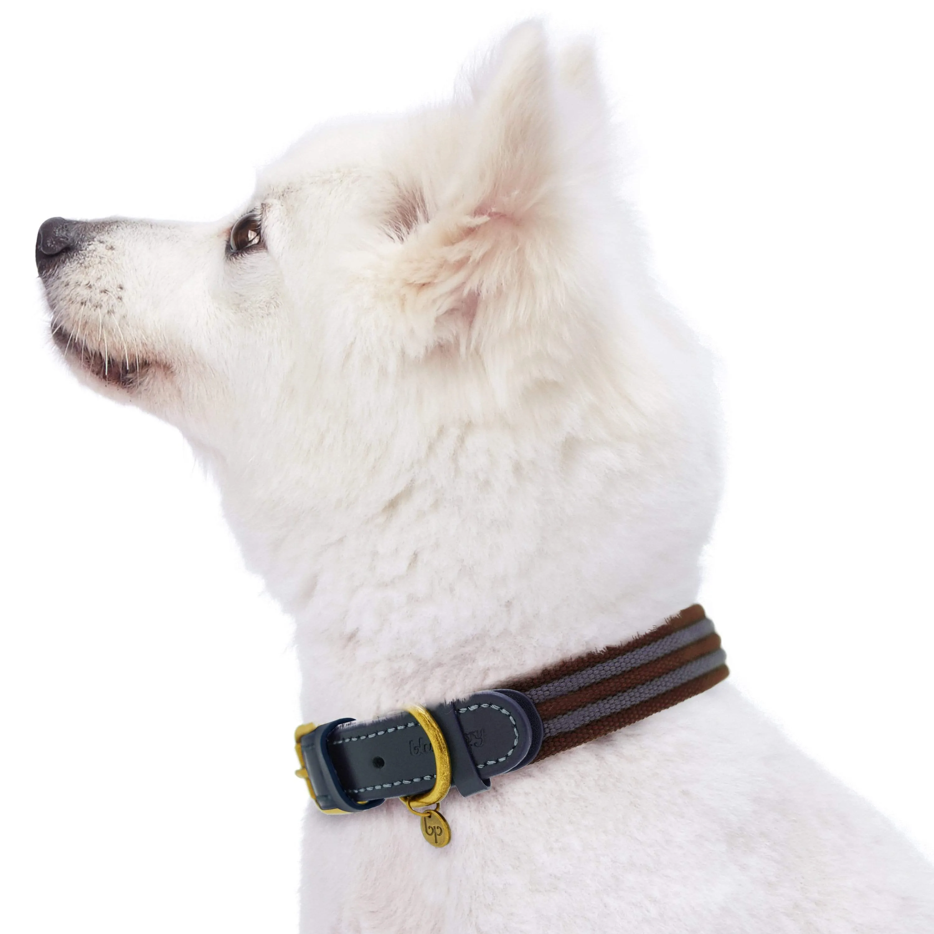 Full Grain Leather & Polyester Dog Collar