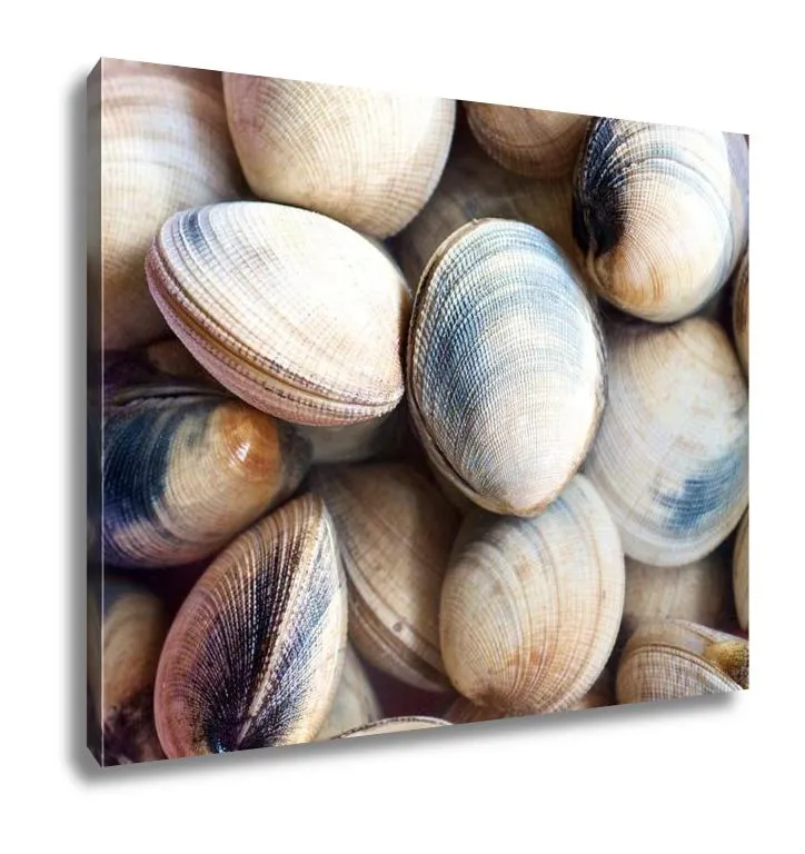 Gallery Wrapped Canvas, Raw Clams In The Market