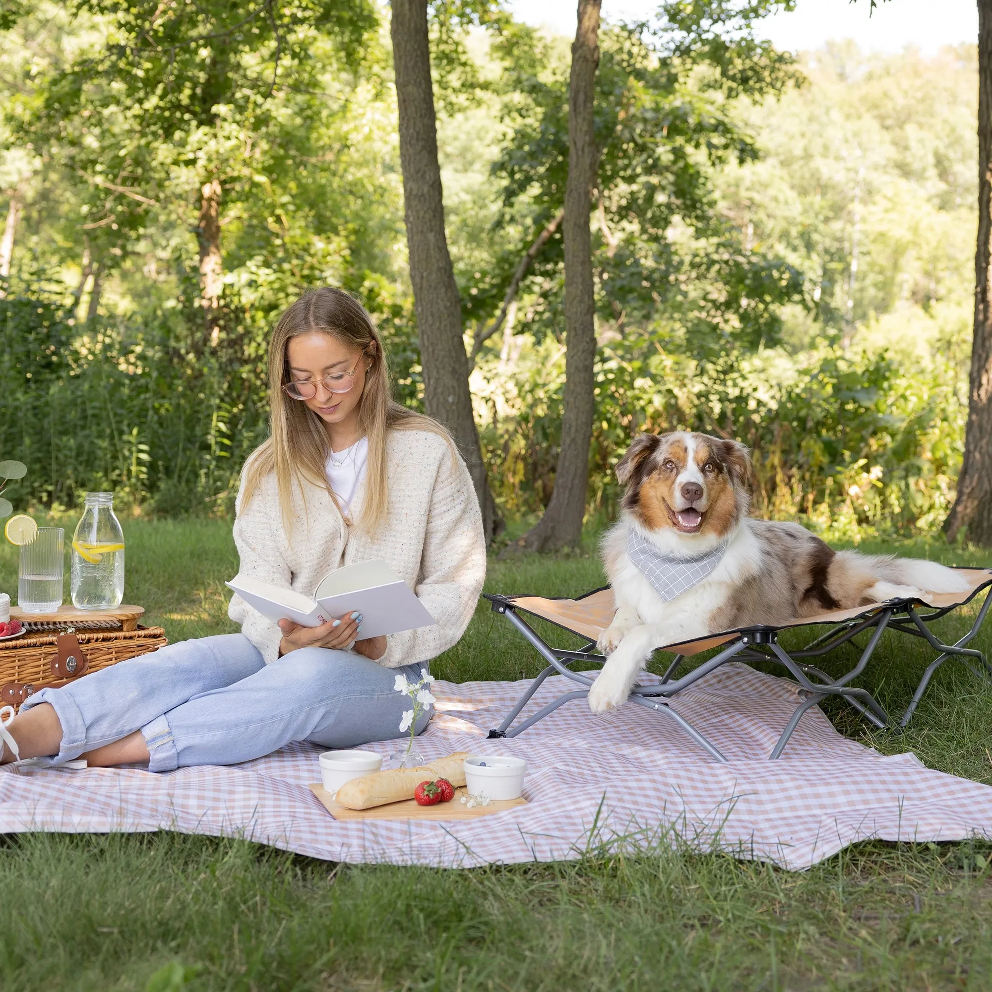 Large Portable Pup Pet Bed