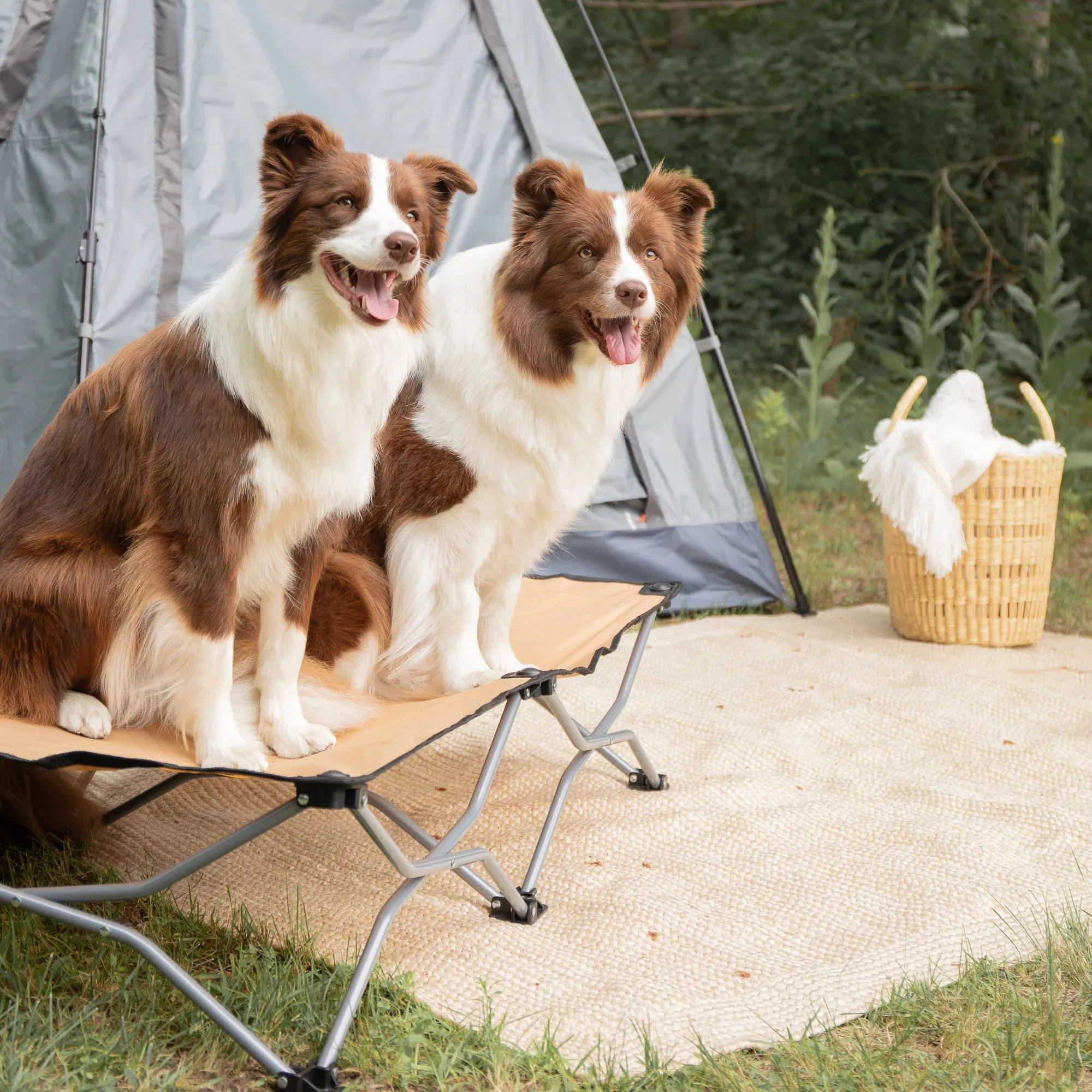 Large Portable Pup Pet Bed