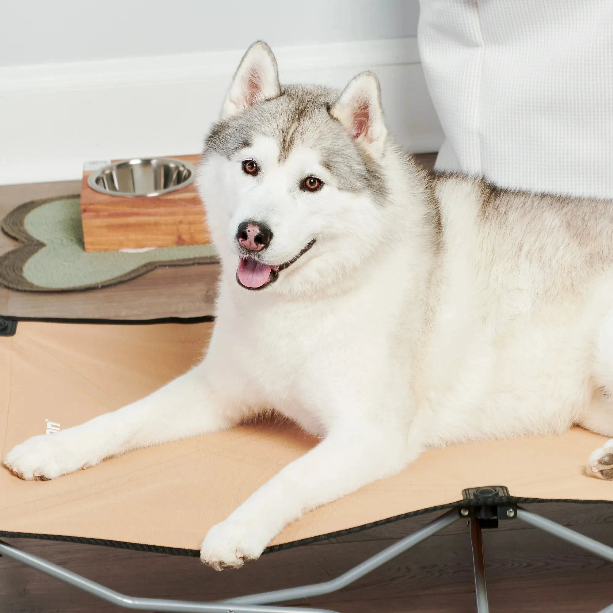 Large Portable Pup Pet Bed