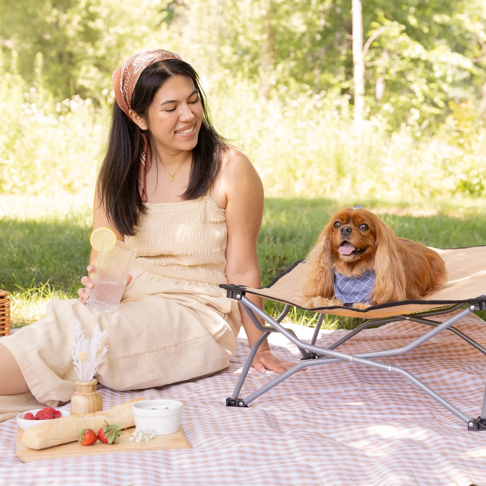 Large Portable Pup Pet Bed