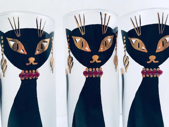 Maida Amour Hipster Siamese Cat Tall Collins Glasses (Set of 6)